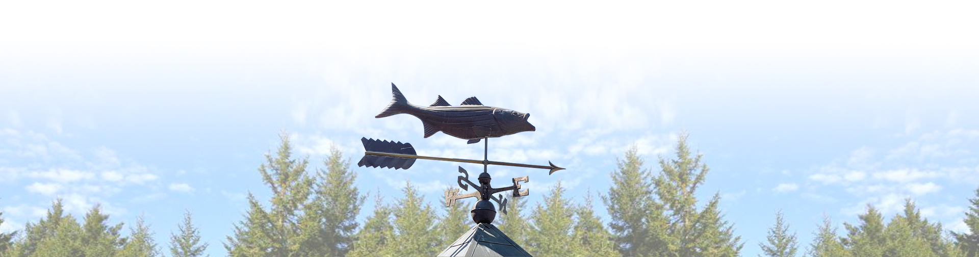 fishy